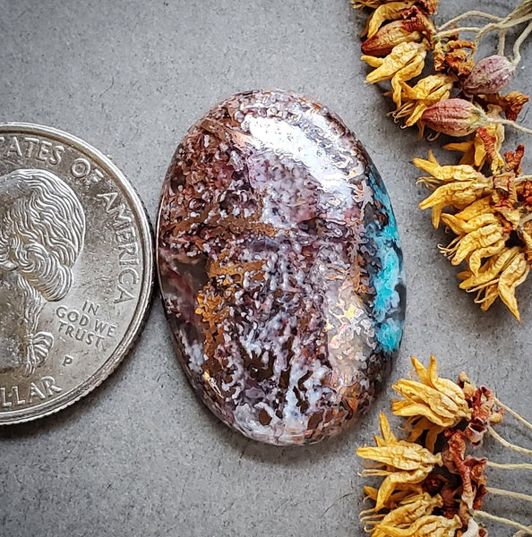 Ring of Fire Copper Plume Agate Cabochon