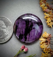 Sugilite Large Round Cabochon