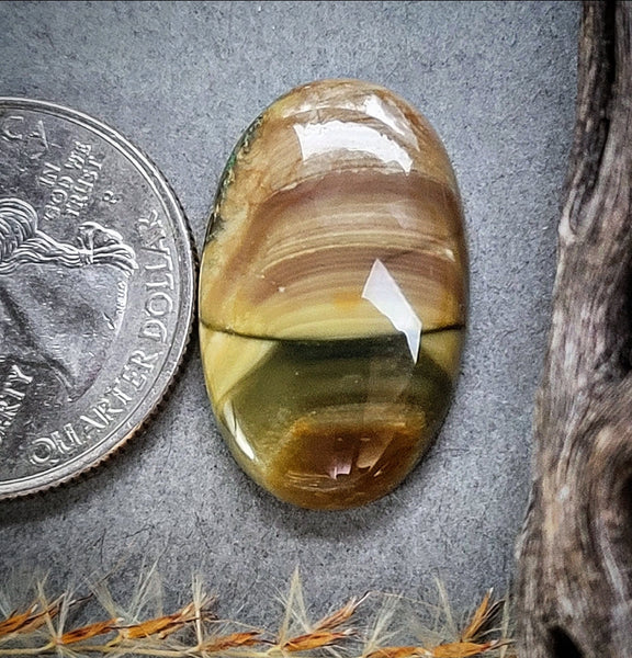 Blue Mountain Jasper Bar Cabochon