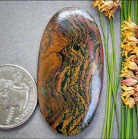 Lion’s Mane Jasper Large Oval Cabochon