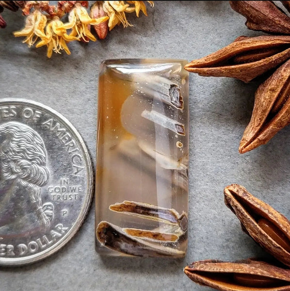 Turkish Stick Agate Bar Cabochon