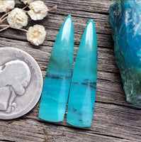Blue Opalized Wood Tapered Baguette Pair Cabochon