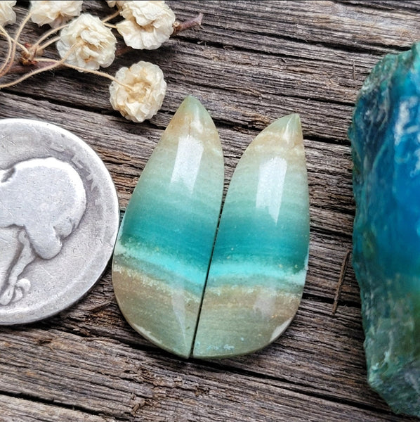 Opalized Wood Freeform Earring Pair Cabochon