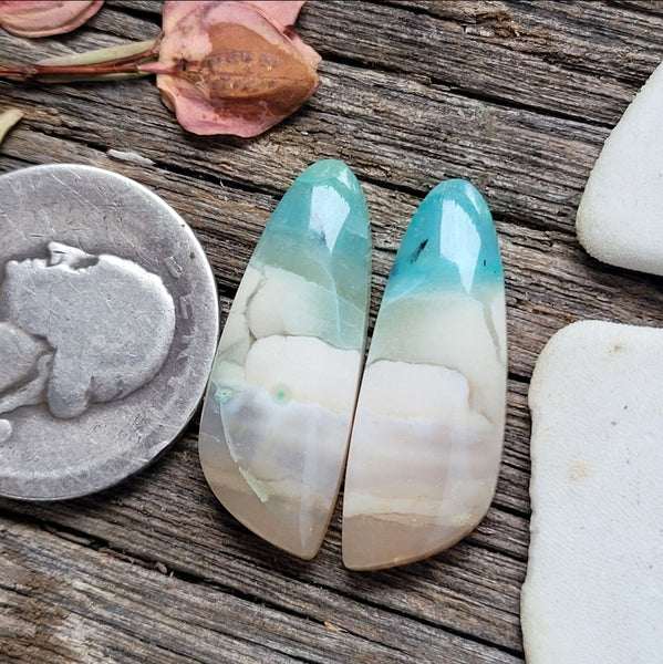 Opalized Wood Freeform Earring Pair Cabochon