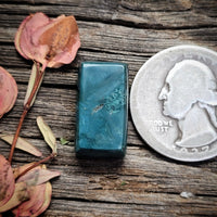 Skaggs Jasper Small Bar Cabochon