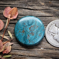 Skaggs Jasper Round Cabochon