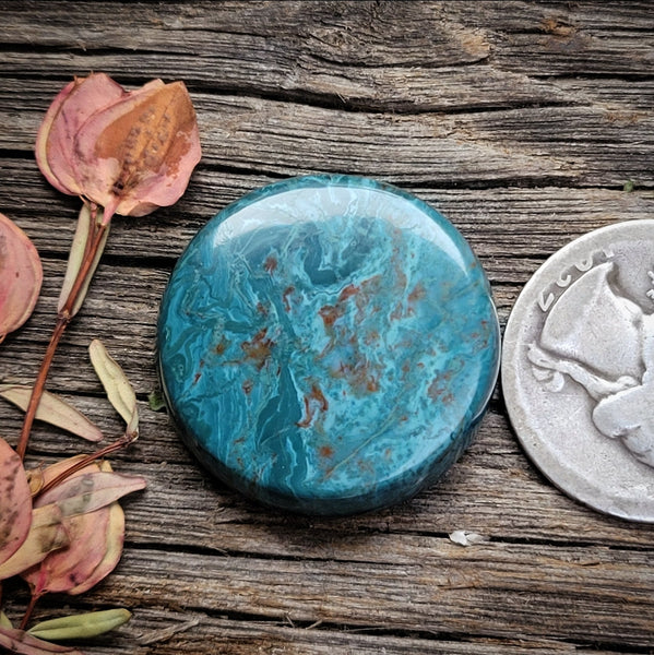 Skaggs Jasper Round Cabochon