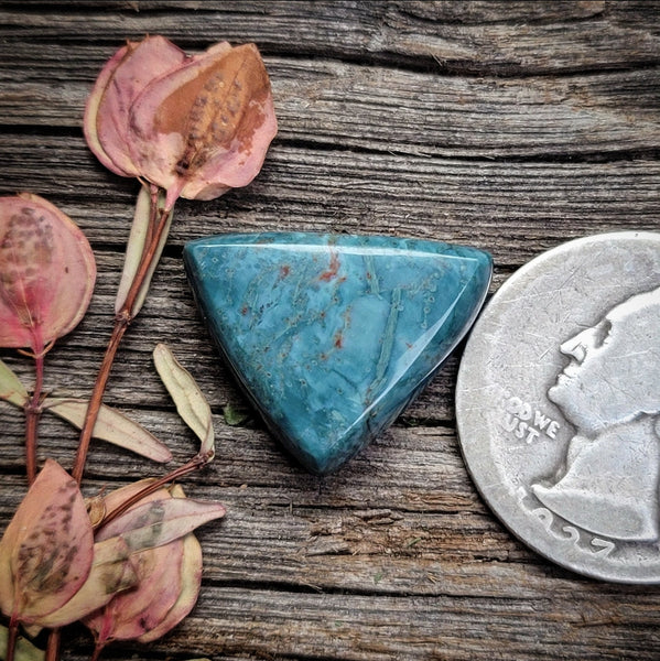 Skaggs Jasper Triangle Cabochon