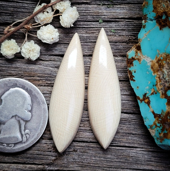 Alaskan WMT Marquise Earring Pair Cabochon