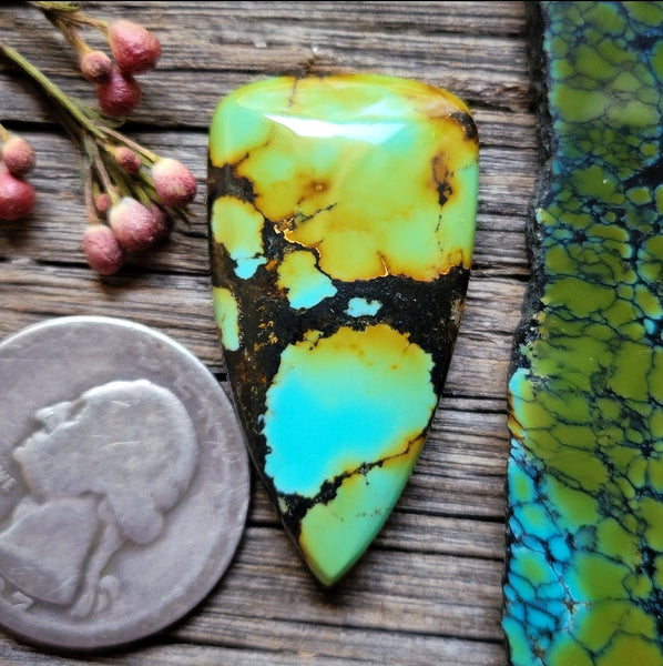 Hubei Turquoise Shield Cabochon