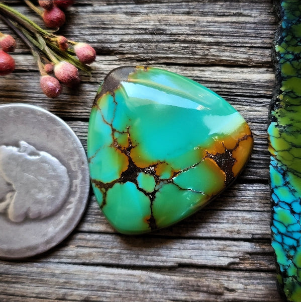 Hubei Turquoise Trillion Cabochon