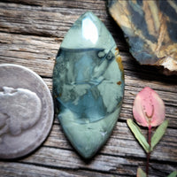 Morrisonite Jasper Marquise Cabochon