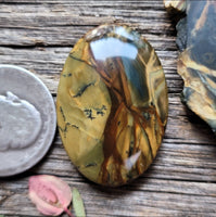 Morrisonite Jasper Oval Cabochon