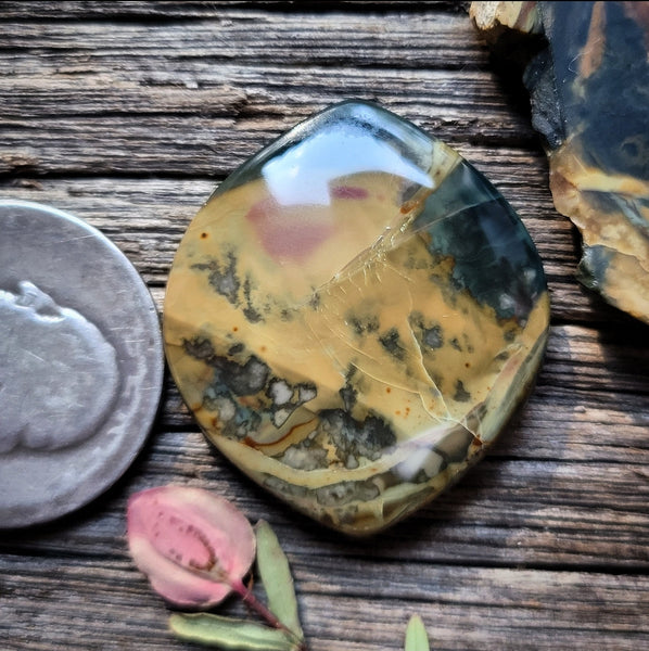 Morrisonite Jasper Freeform Cabochon