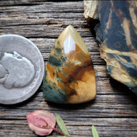 Morrisonite Jasper Shield Cabochon