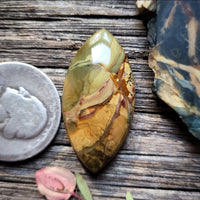 Morrisonite Jasper Marquise Cabochon