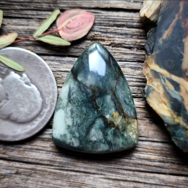 Morrisonite Jasper Shield Cabochon