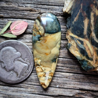 Morrisonite Jasper Talon Cabochon