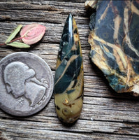 Morrisonite Jasper Talon Cabochon