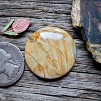 Morrisonite Jasper Round Cabochon