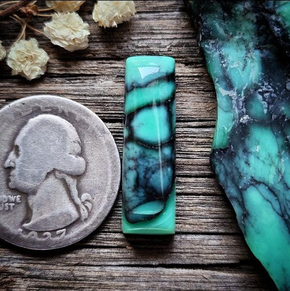 Desert Oasis Bar Cabochon