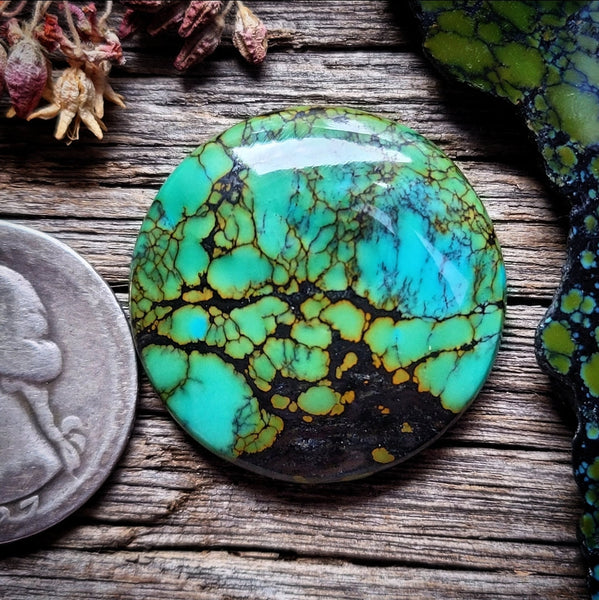Hubei Turquoise Medium Round Cabochon