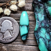 Desert Oasis Skinny Oval Cabochon