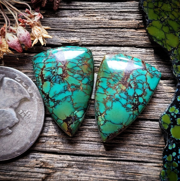 Hubei Turquoise Shield Pair Cabochon