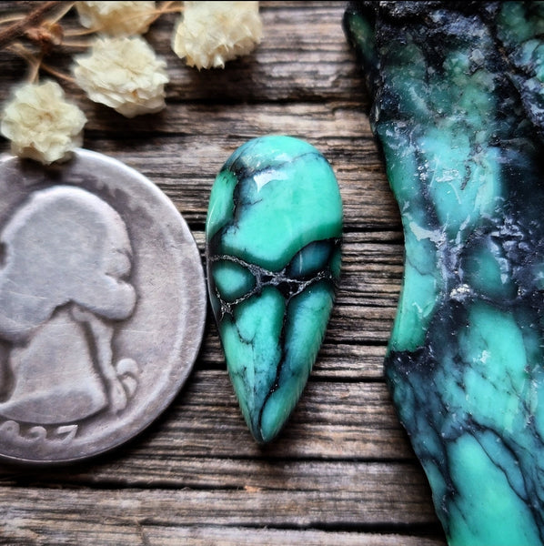Desert Oasis Teardrop Cabochon
