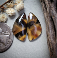 Turkish Stick Agate Freeform Pair Cabochon