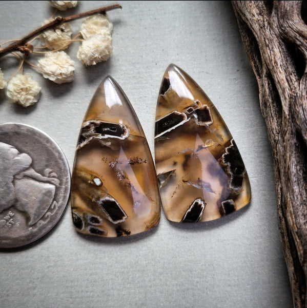 Turkish Stick Agate Shield Pair Cabochon