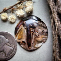 Turkish Stick Agate Freeform Druzy Cabochon