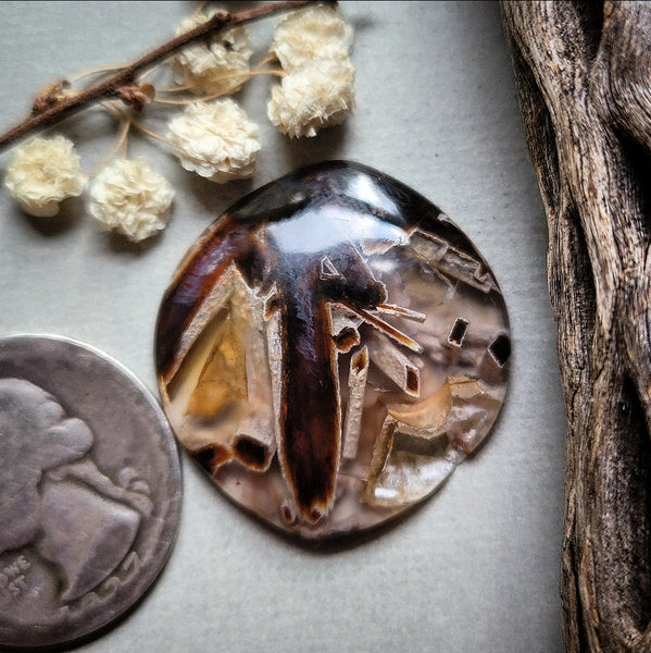 Turkish Stick Agate Freeform Druzy Cabochon