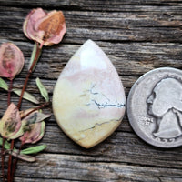 Oregon Sunset Jasper Large Freeform Cabochon