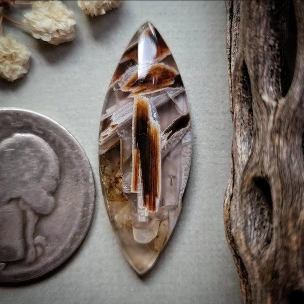 Turkish Stick Agate Marquise Cabochon