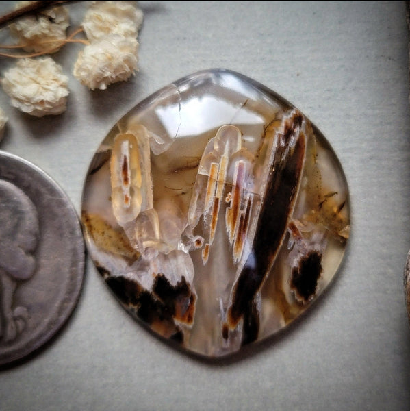 Turkish Stick Agate Sexy Shape Cabochon