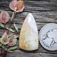 Oregon Sunset Jasper Teardrop Cabochon