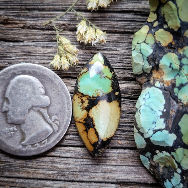 Natural Qingu Mine Turquoise Marquise Cabochon