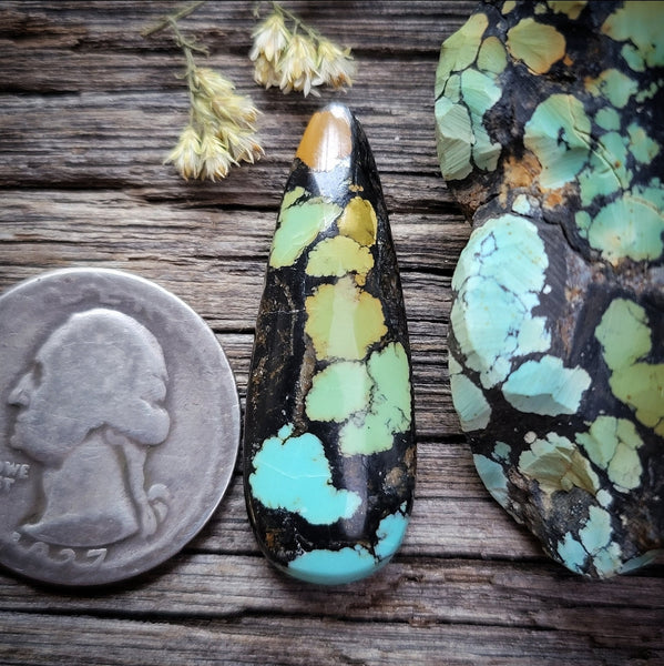 Natural Qingu Mine Turquoise Talon Cabochon