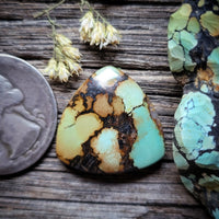 Natural Qingu Mine Turquoise Trillion Cabochon