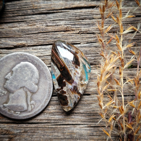 Turkish Stick Agate Doublet Freeform Cabochon