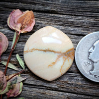Oregon Sunset Jasper Freeform Cabochon