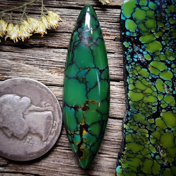 Qingu Spiderweb Turquoise Marquise Cabochon
