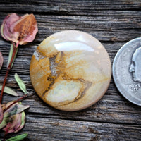 Oregon Sunset Jasper Round Cabochon