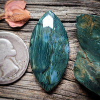 Skaggs Jasper Marquise Cabochon