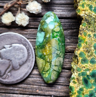 Paisley Dreams Variscite Oval Cabochon