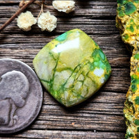 Paisley Dreams Variscite Cushion Cut Cabochon