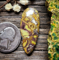 Paisley Dreams Variscite Talon Cabochon