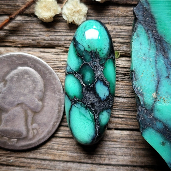 Desert Oasis Variscite Oval Cabochon