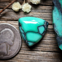 Desert Oasis Variscite Trillion Cabochon
